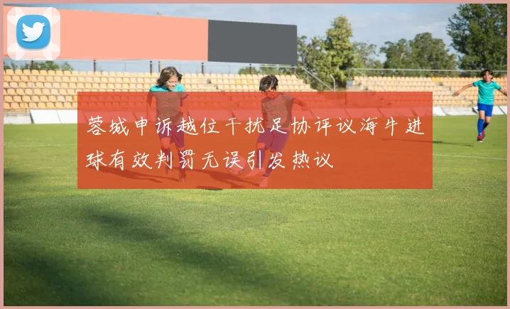 蓉城申诉越位干扰足协评议海牛进球有效判罚无误引发热议
