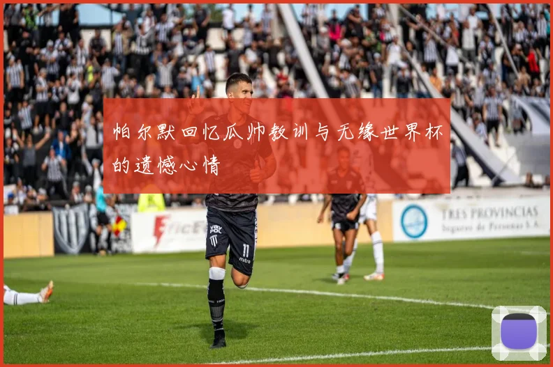 帕尔默回忆瓜帅教训与无缘世界杯的遗憾心情
